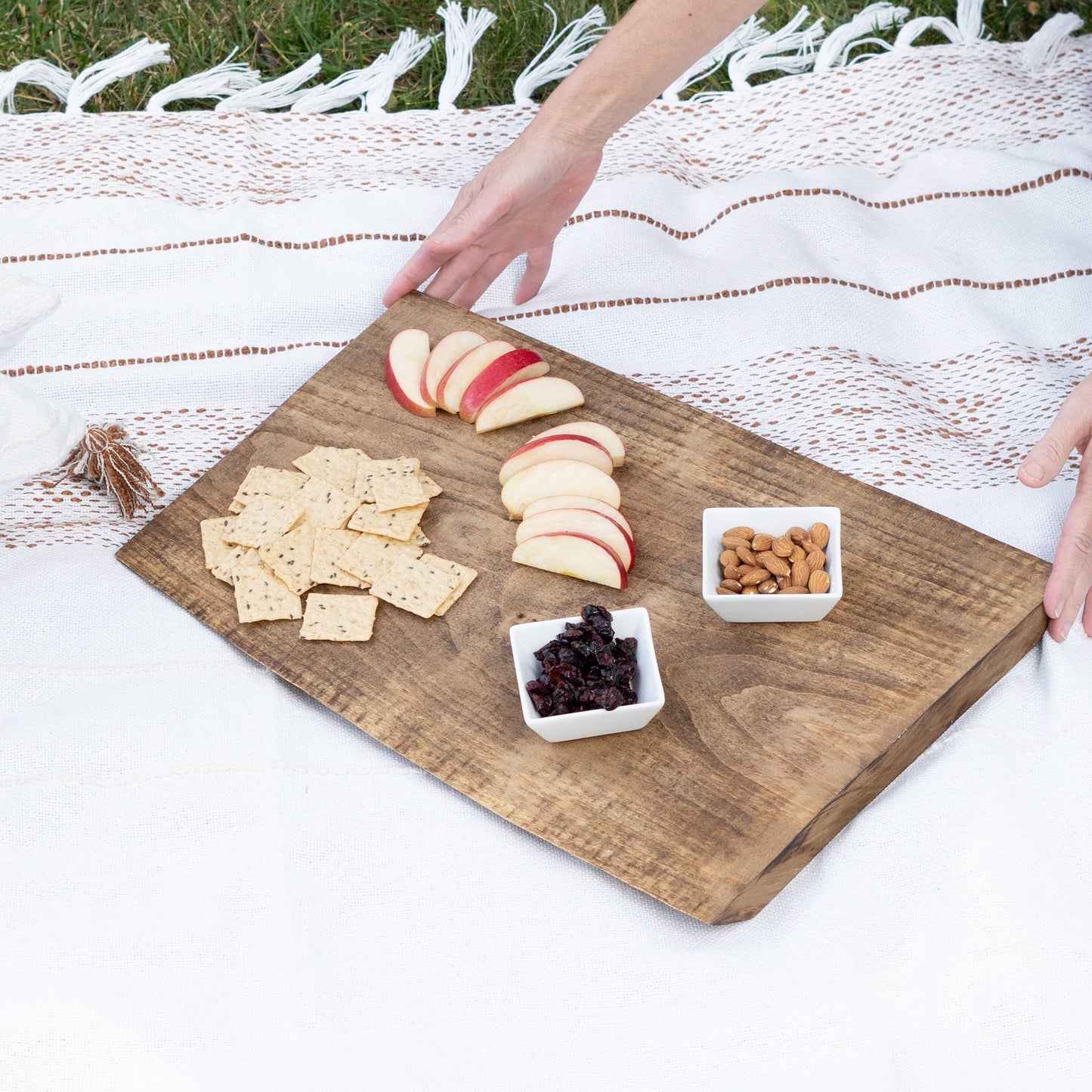 Tylanne 50x70" Indoor/Outdoor Woven Throw Blanket