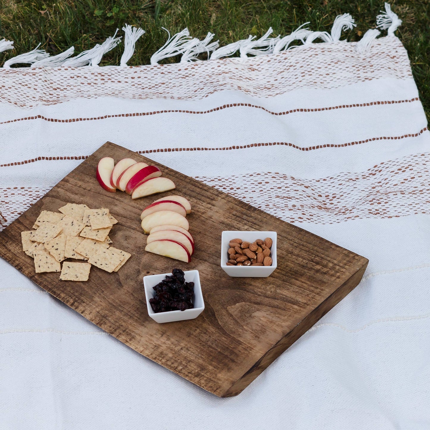 Tylanne 50x70" Indoor/Outdoor Woven Throw Blanket
