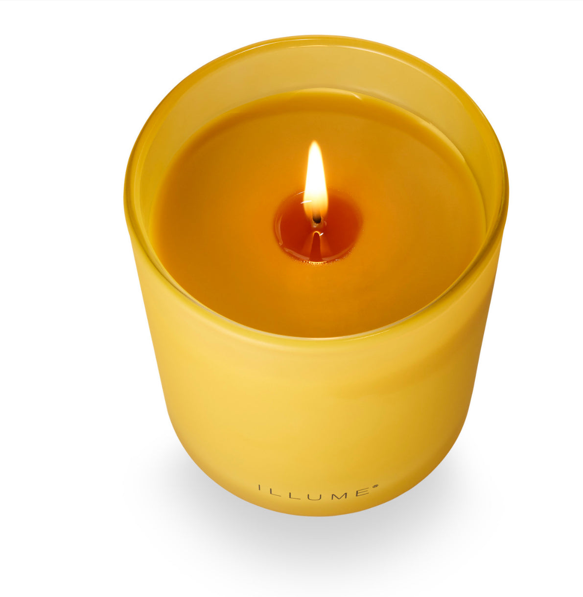 Rhubarb Honey Refillable Boxed Glass Candle