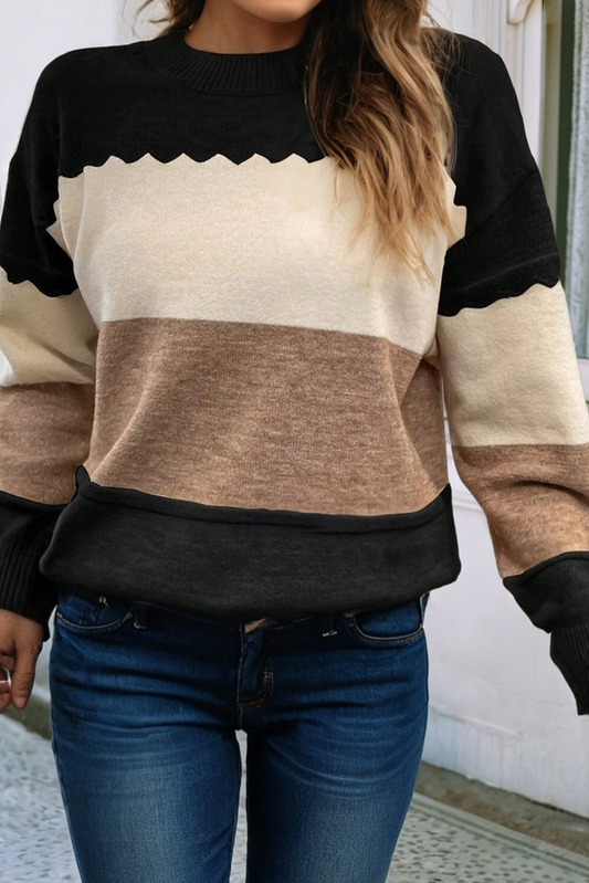 Colorblock Crew Neck Drop Shoulder Sweater