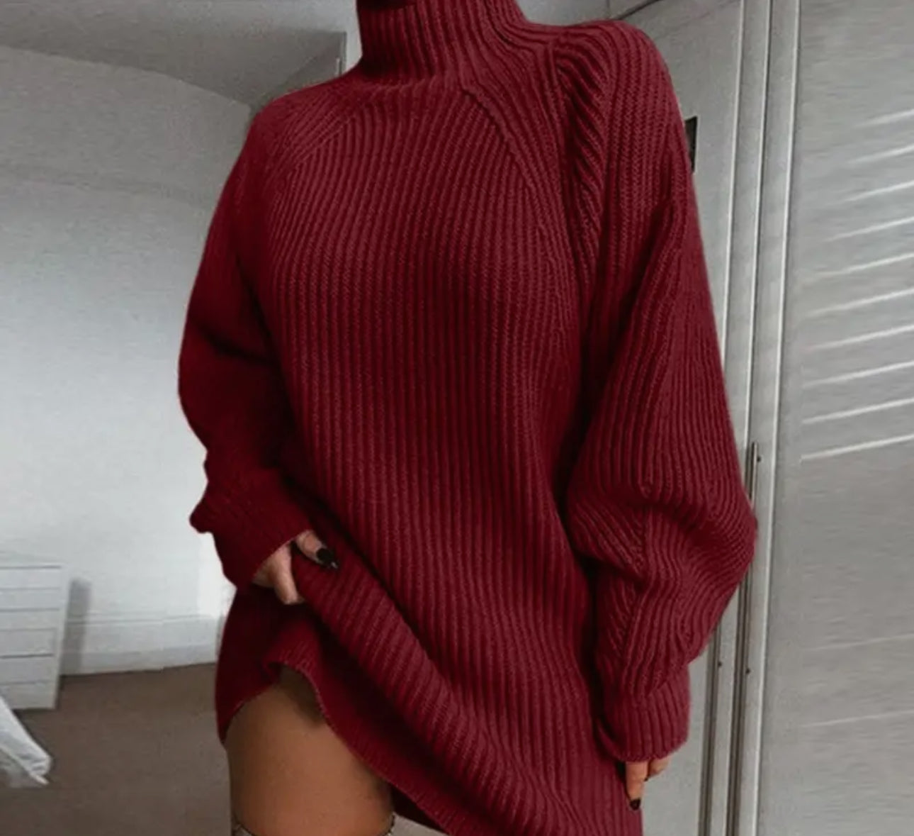 Half Turtleneck Sweater Dress